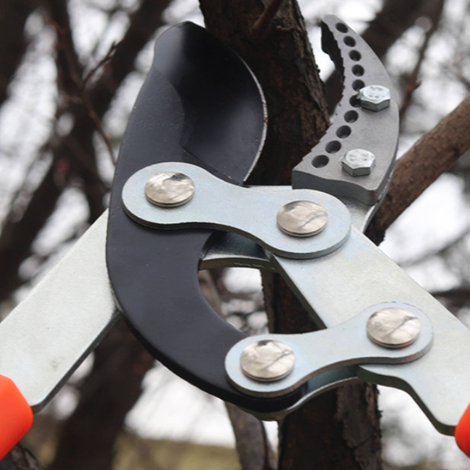 伸縮式枝切り鋏 シャープブレード 頑丈な木剪定鋏 剪定鋏 快 - Garden Tools のレビューと価格